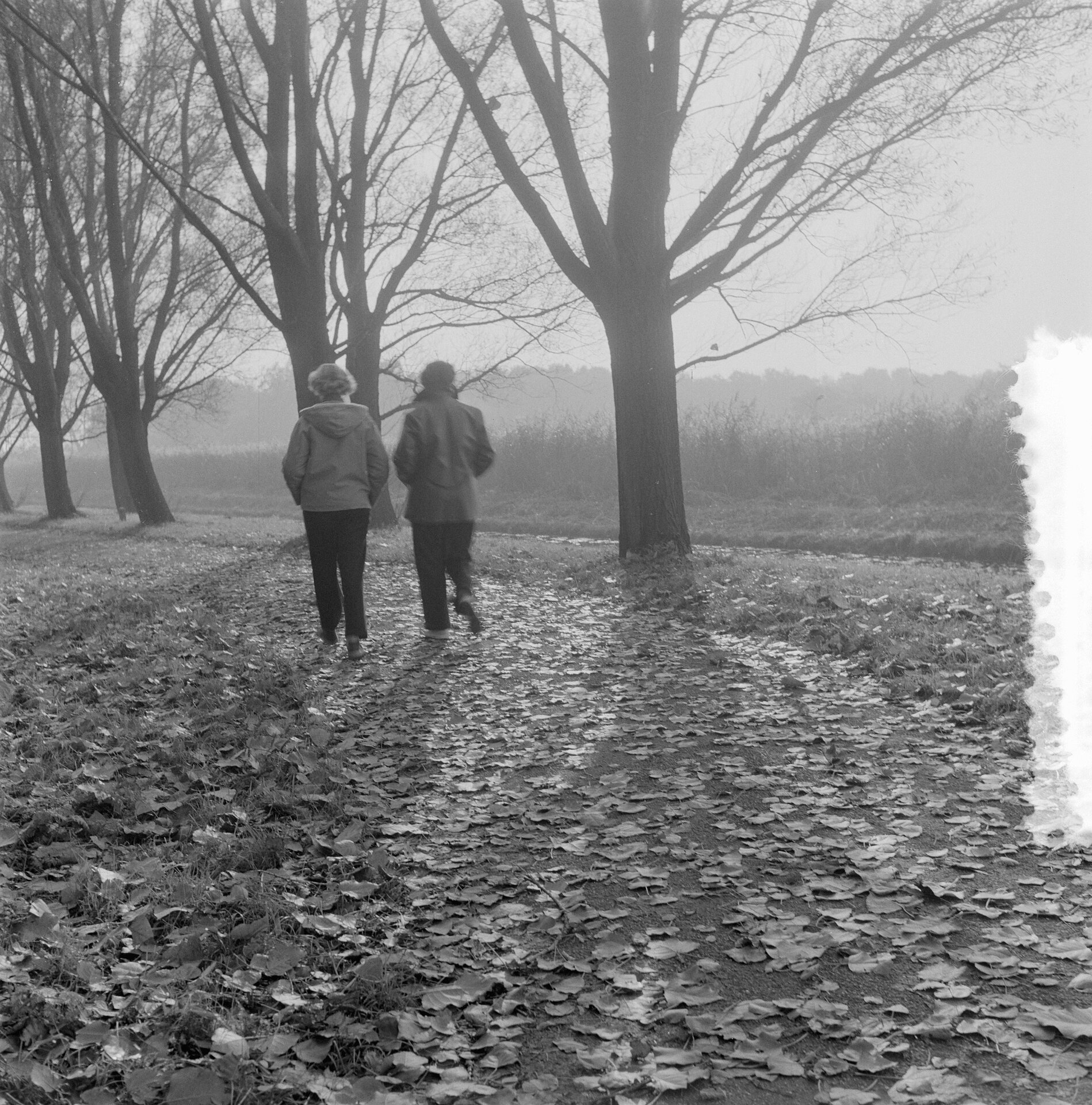 Wandelen